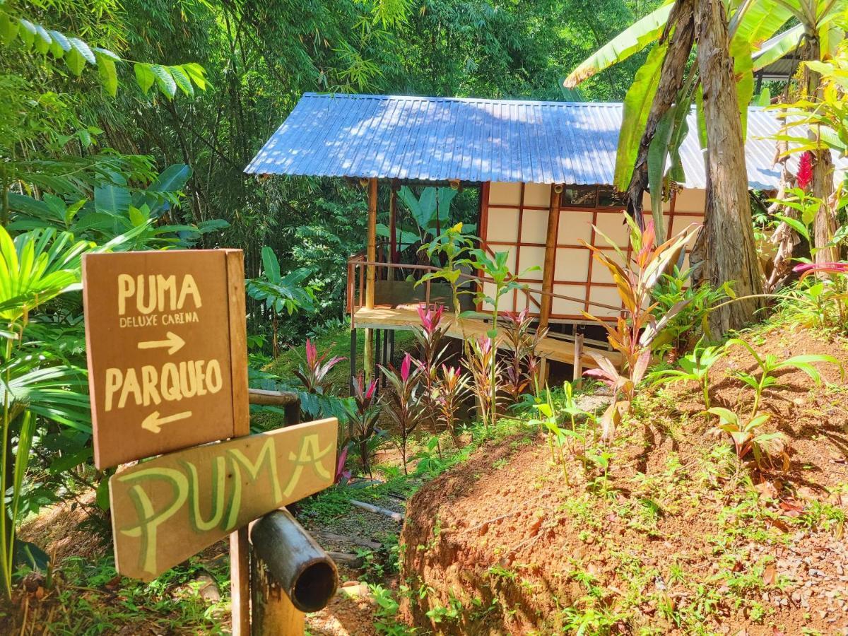 Cascada Elysiana Villa Platanillo Luaran gambar