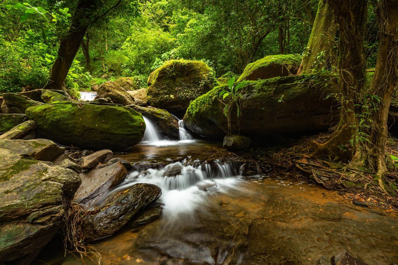 Cascada Elysiana Villa Platanillo Luaran gambar